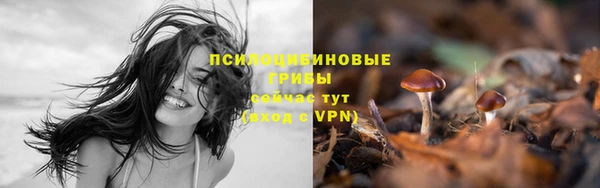 соль курить ск Волосово