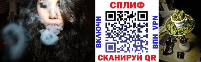Купить где  Новая Ладога  Каннабис Amnesia 